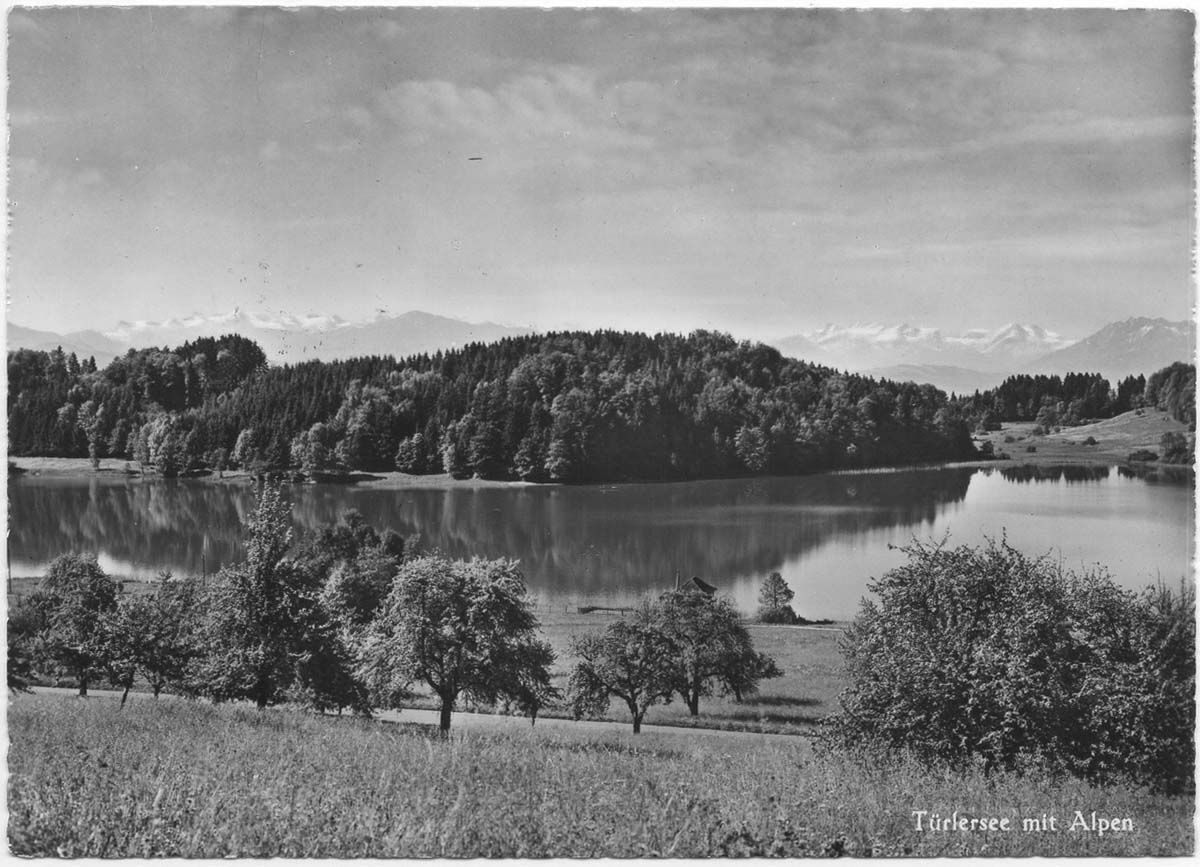 Aeugst am Albis. Türlersee mit Alpen, 1964