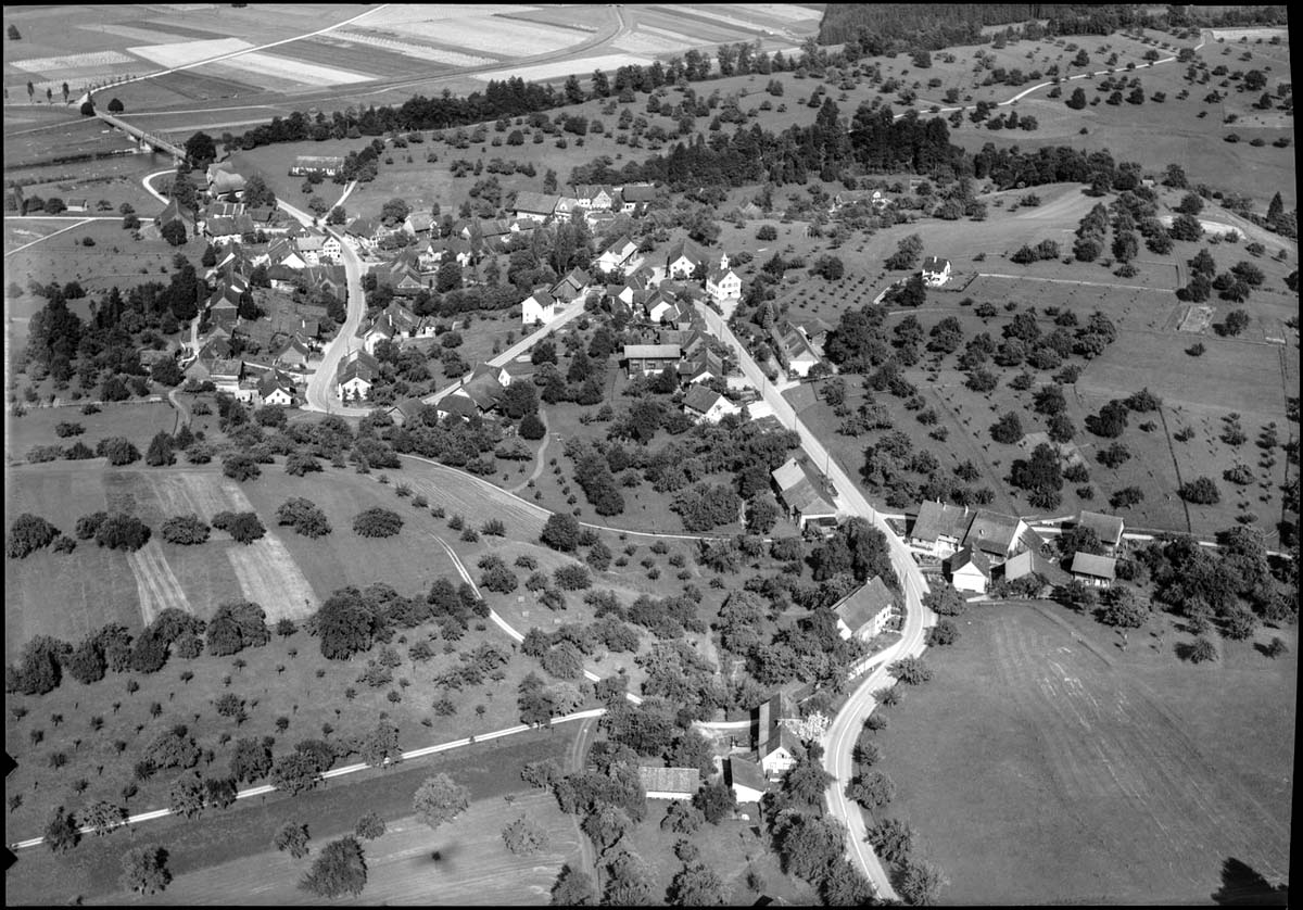 Amlikon-Bissegg. Panorama von Amlikon, 1954