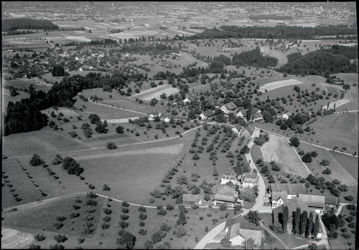Amlikon-Bissegg. Panorama von Bissegg, Amlikon, 1954