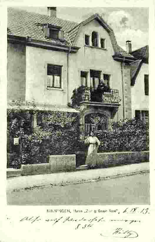 Binningen. Haus 'Zur gruenen Aue', 1913