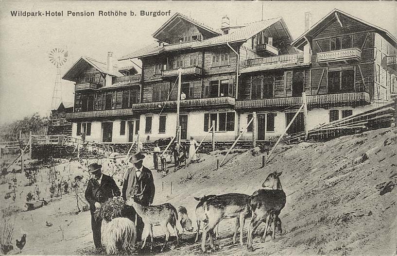 Wildpark-Hotel, Pension Rothöhe bei Burgdorf