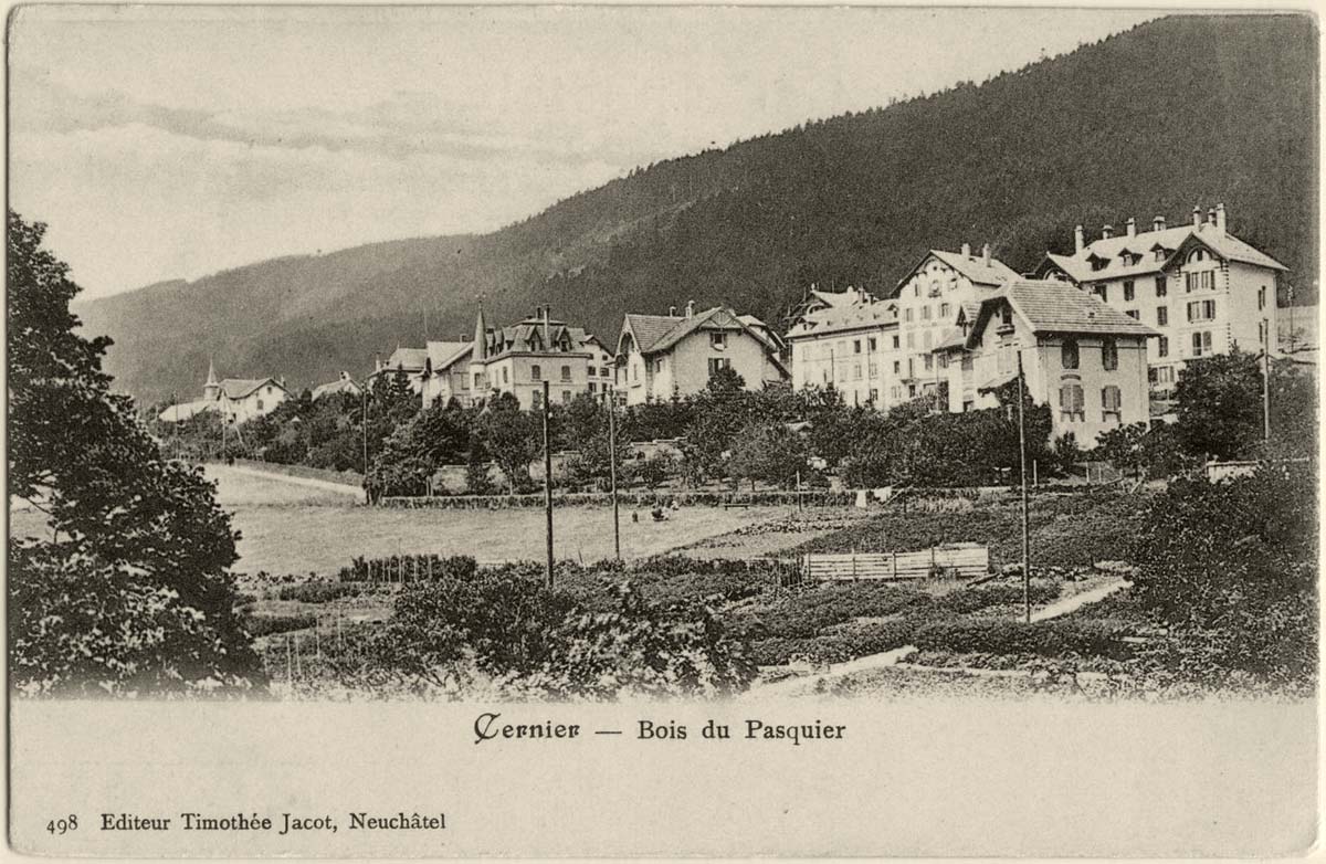 Cernier. Bois du Paquier, 1900