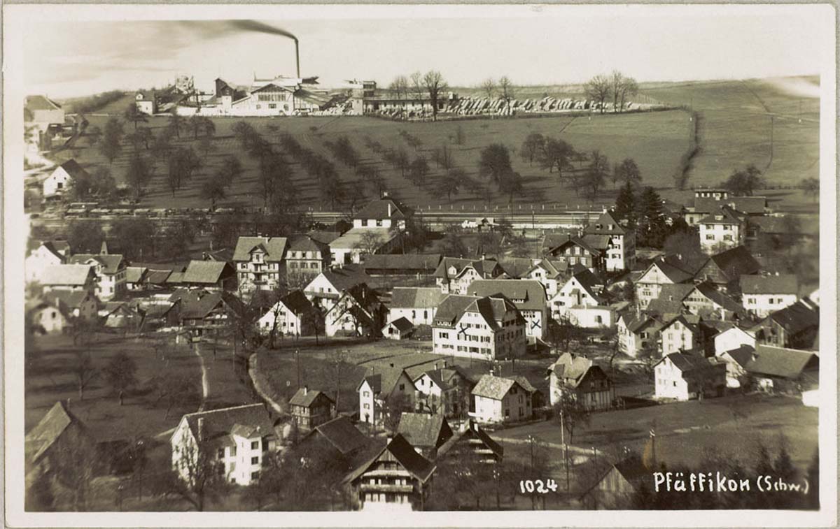 Freienbach. Panorama von Pfäffikon, um 1920