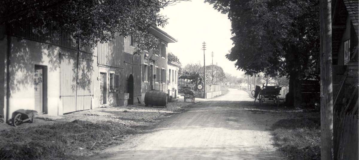 Geroldswil. Limmattalstrasse Richtung Weiningen, 1930