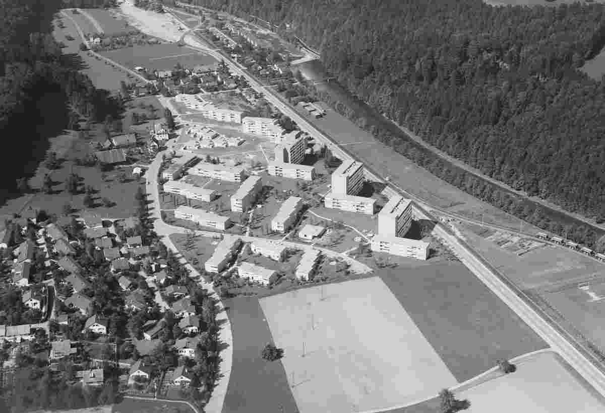Langnau am Albis. Blick auf Vita Siedlung, 1964