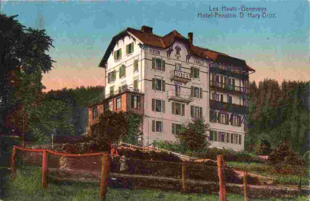 Les Hauts-Geneveys - Hotel-Pension D. Hary-Droz, 1919