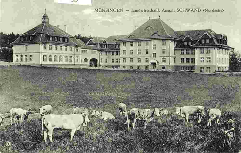 Münsingen. Landwirtschaftliche Schule Schwand