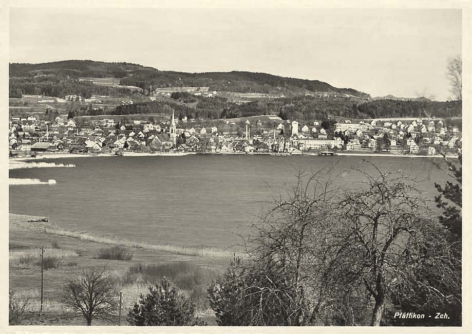 Pfäffikon. Panorama der Stadt und See