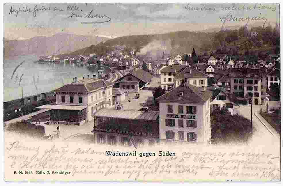 Wädenswil. Hotel du Lac, Bahnhof, Zug, 1905