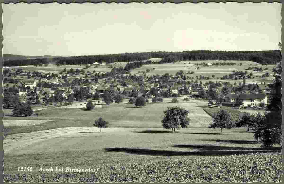 Panorama von Aesch