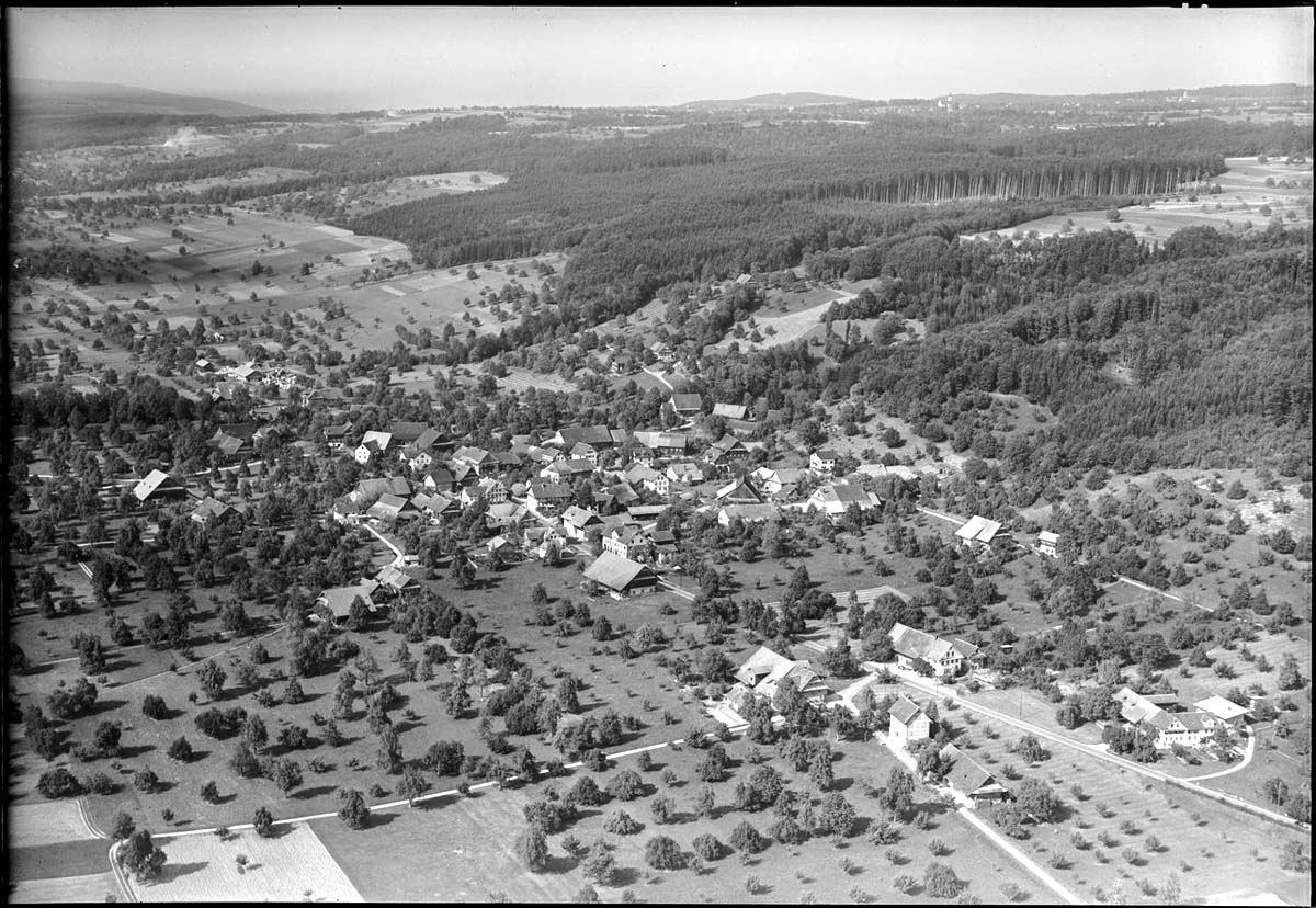 Panorama von Altwis, 1953