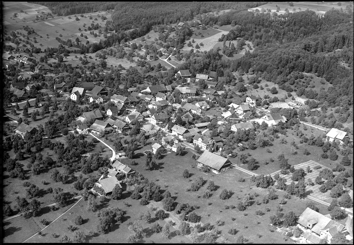 Panorama von Altwis, 1953