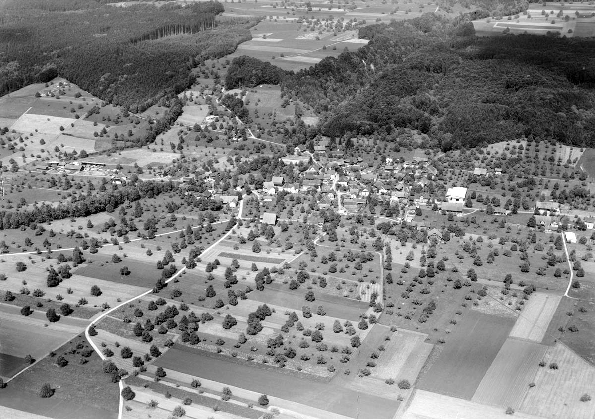 Panorama von Altwis, 1964