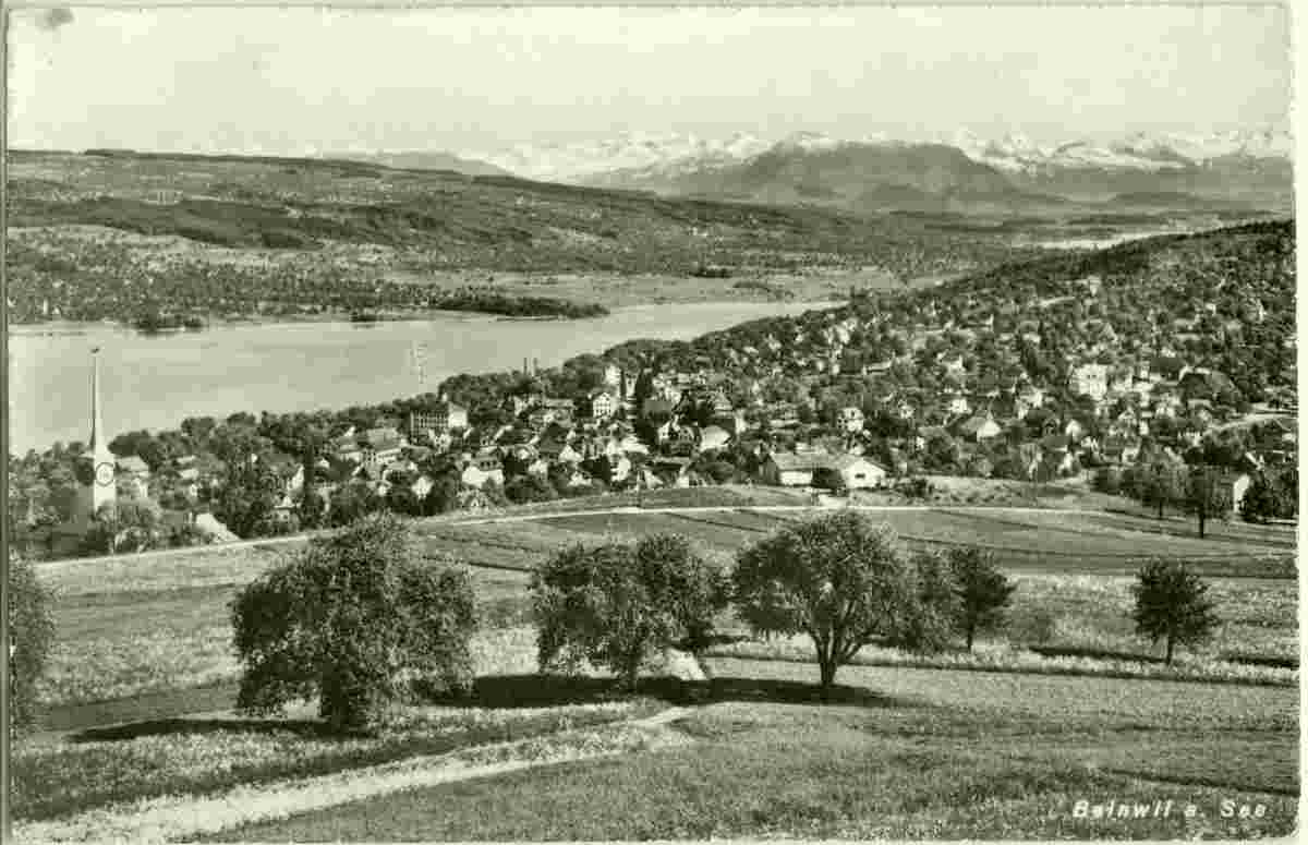 Panorama von Beinwil am See, 1958