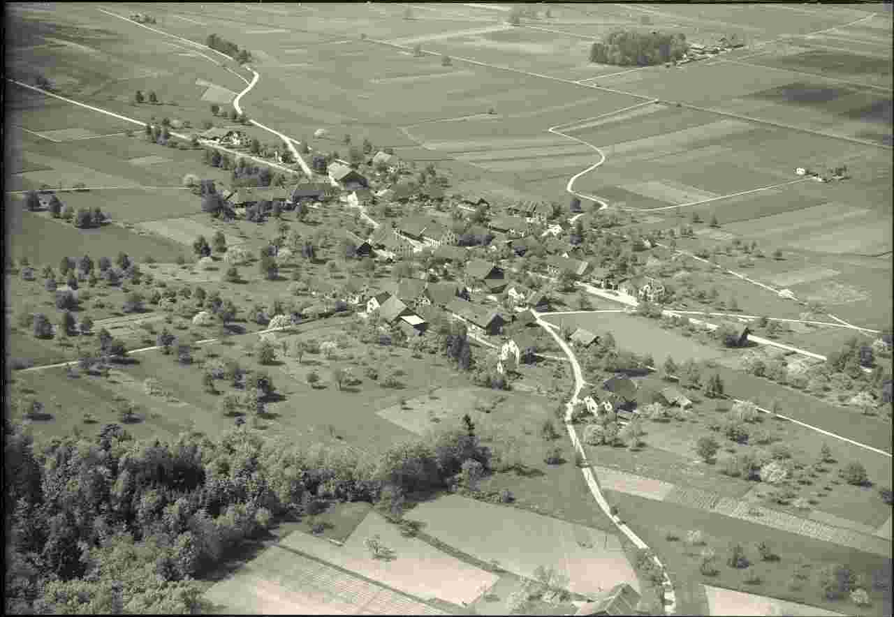 Panorama von Dänikon, 1950
