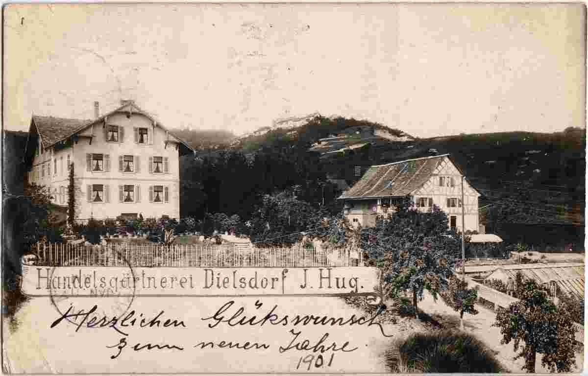 Dielsdorf. Handelgärtnerei J. Hug, 1901