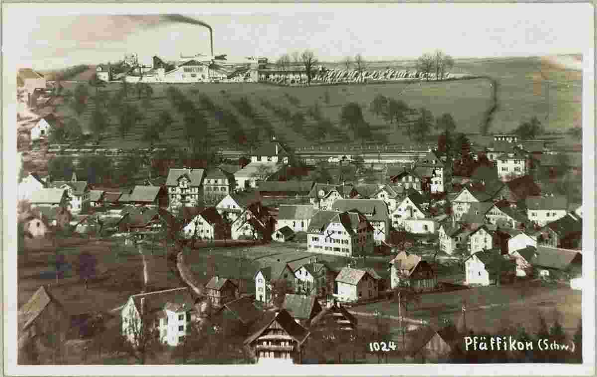 Freienbach. Panorama von Pfäffikon