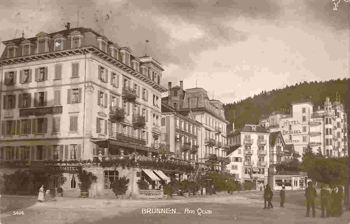 Ingenbohl. Brunnen - Park-Hotel, 1914