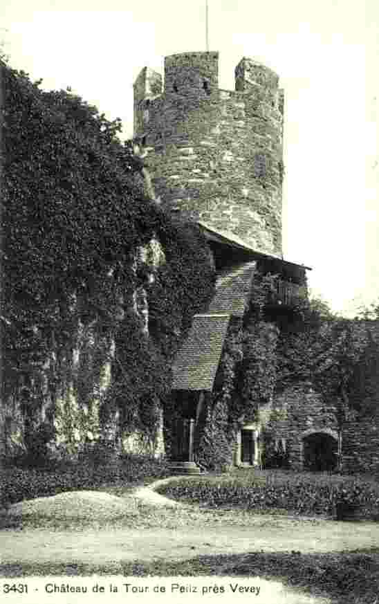 La Tour-de-Peilz. Château de la Tour de Peilz pres Vevey