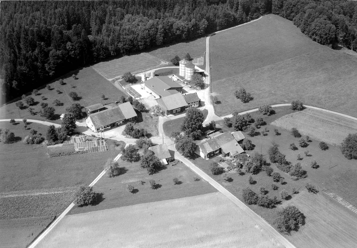 Oberembrach. Blick auf Stiegenhof, 1967