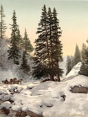 Grisons. Davos in winter, circa 1890