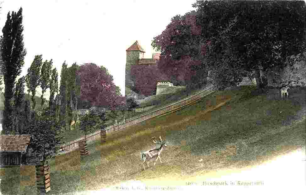 Rapperswil-Jona. Hirschpark, 1907