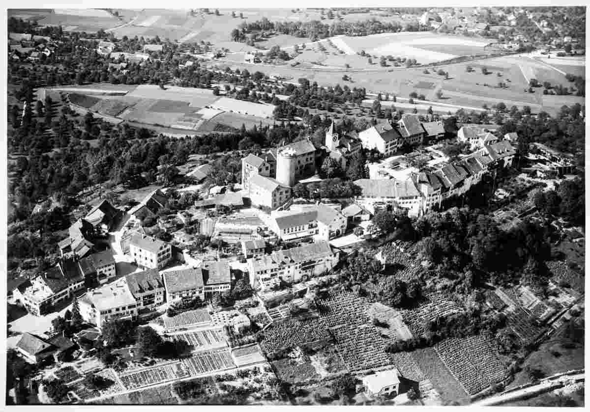 Blick auf Regensberg, 1948