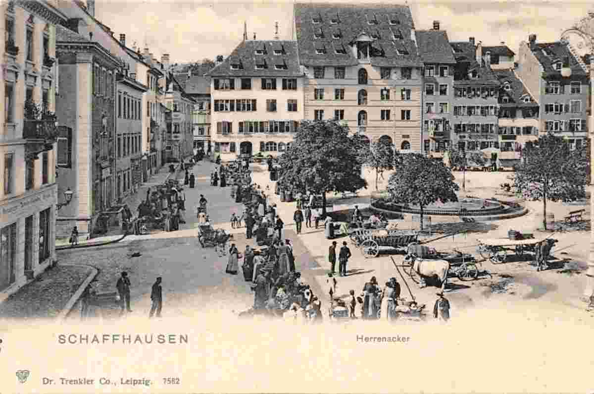 Schaffhausen. Herrenacker Markt, um 1900